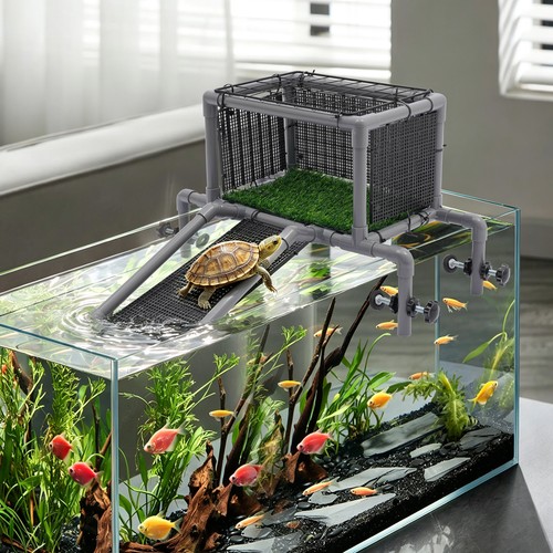 Turtle basking platform - basking, with